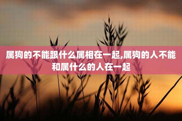 属狗的不能跟什么属相在一起,属狗的人不能和属什么的人在一起