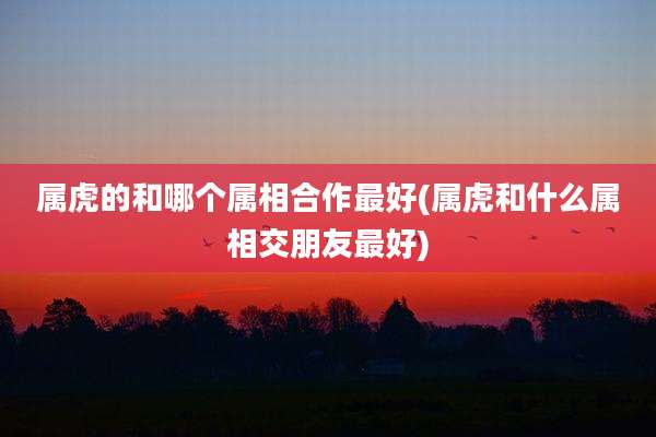属虎的和哪个属相合作最好(属虎和什么属相交朋友最好)
