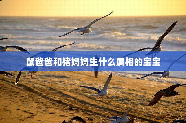 鼠爸爸和猪妈妈生什么属相的宝宝