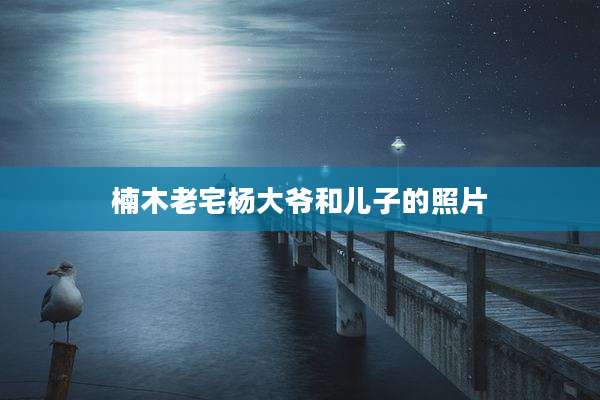 楠木老宅杨大爷和儿子的照片