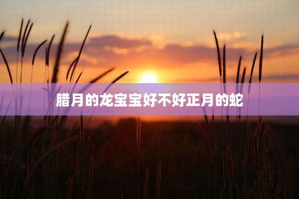 腊月的龙宝宝好不好正月的蛇