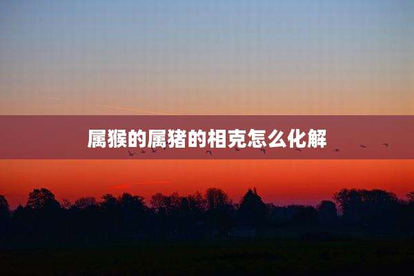 属猴的属猪的相克怎么化解