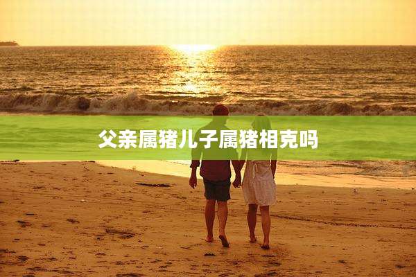 父亲属猪儿子属猪相克吗
