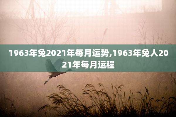 1963年兔2021年每月运势,1963年兔人2021年每月运程
