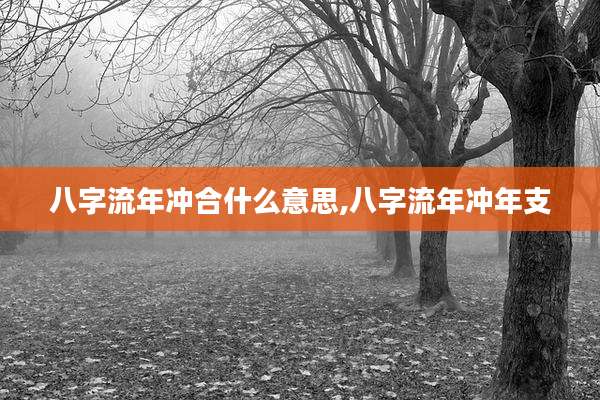 八字流年冲合什么意思,八字流年冲年支