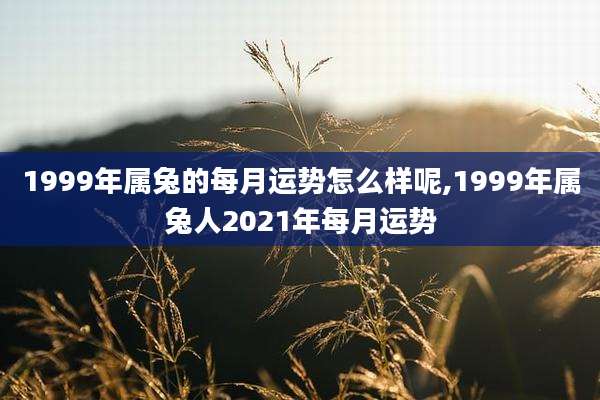 1999年属兔的每月运势怎么样呢,1999年属兔人2021年每月运势