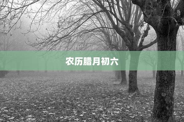 农历腊月初六