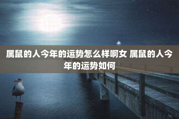 属鼠的人今年的运势怎么样啊女 属鼠的人今年的运势如何