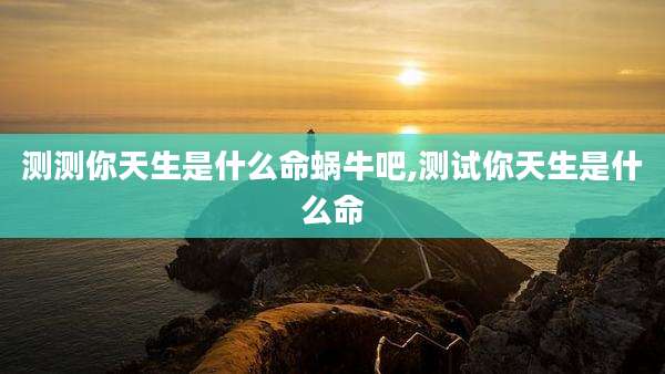 测测你天生是什么命蜗牛吧,测试你天生是什么命