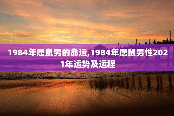 1984年属鼠男的命运,1984年属鼠男性2021年运势及运程