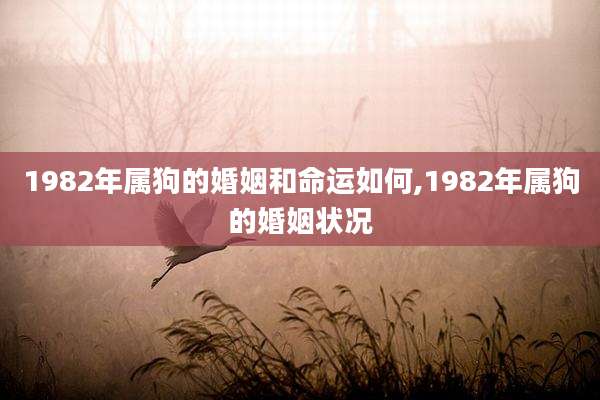 1982年属狗的婚姻和命运如何,1982年属狗的婚姻状况