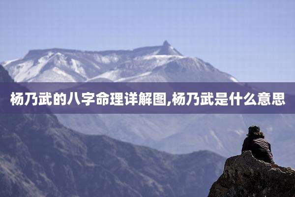 杨乃武的八字命理详解图,杨乃武是什么意思