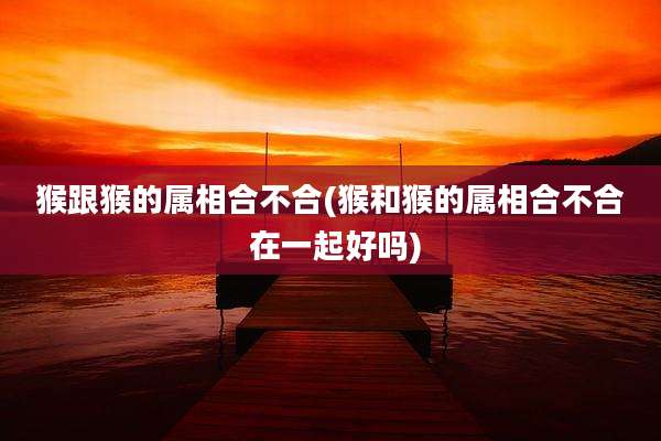 猴跟猴的属相合不合(猴和猴的属相合不合 在一起好吗)