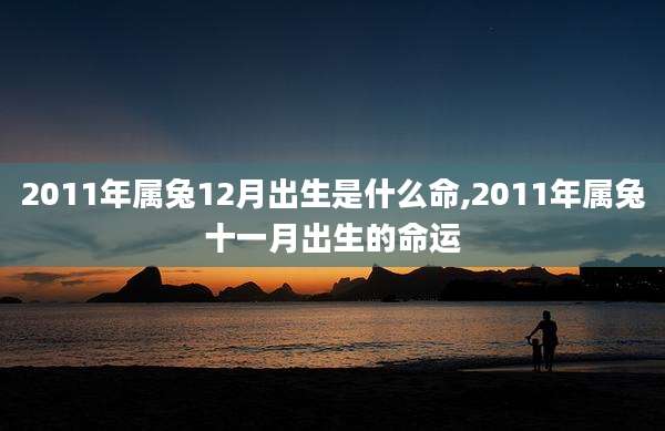 2011年属兔12月出生是什么命,2011年属兔十一月出生的命运