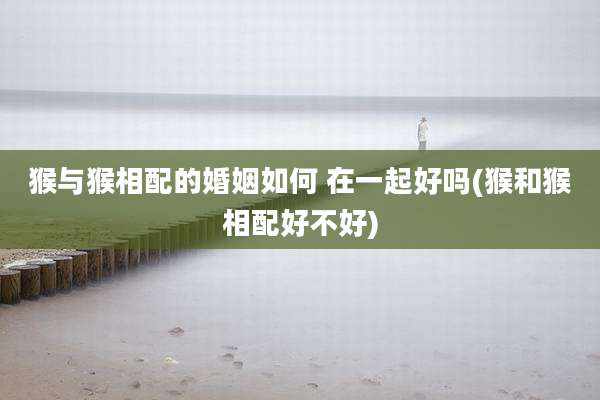 猴与猴相配的婚姻如何 在一起好吗(猴和猴相配好不好)