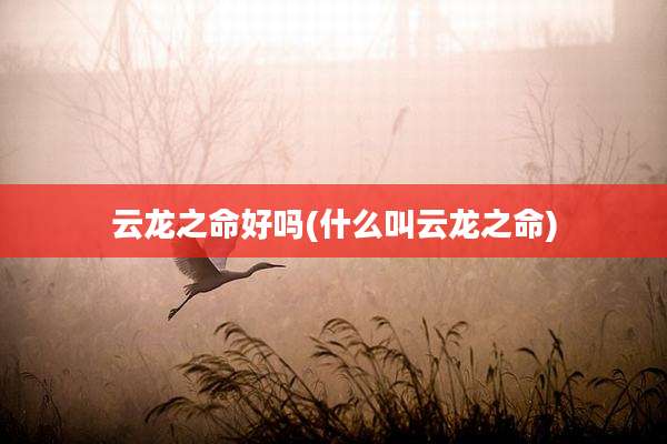 云龙之命好吗(什么叫云龙之命)