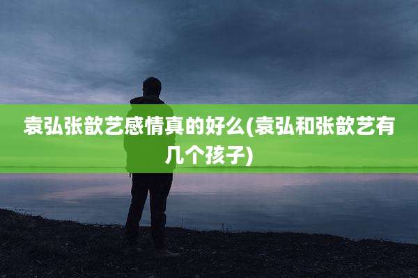 袁弘张歆艺感情真的好么(袁弘和张歆艺有几个孩子)