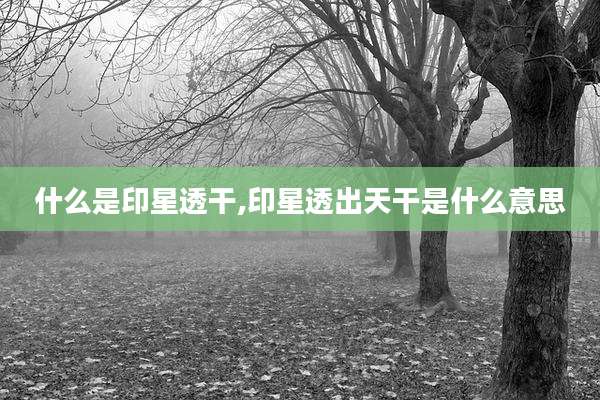 什么是印星透干,印星透出天干是什么意思
