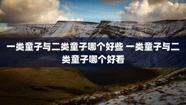 一类童子与二类童子哪个好些 一类童子与二类童子哪个好看