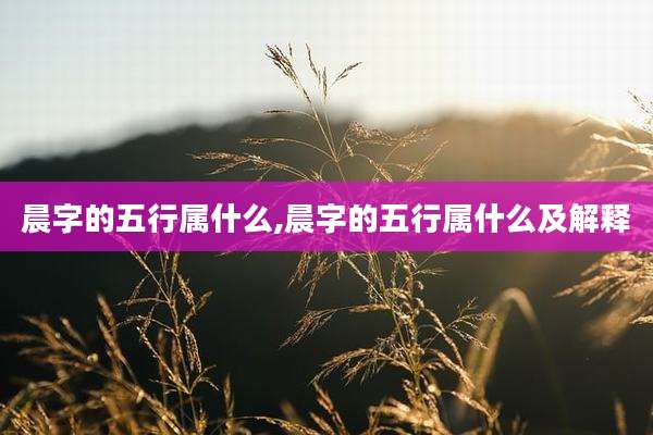 晨字的五行属什么,晨字的五行属什么及解释