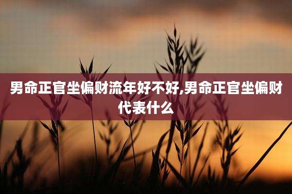 男命正官坐偏财流年好不好,男命正官坐偏财代表什么