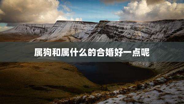 属狗和属什么的合婚好一点呢