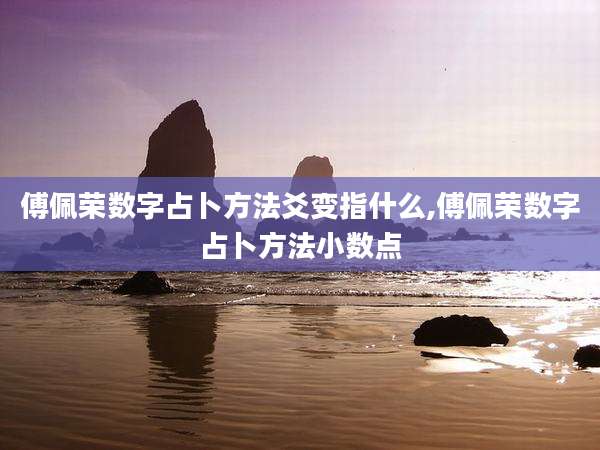 傅佩荣数字占卜方法爻变指什么,傅佩荣数字占卜方法小数点