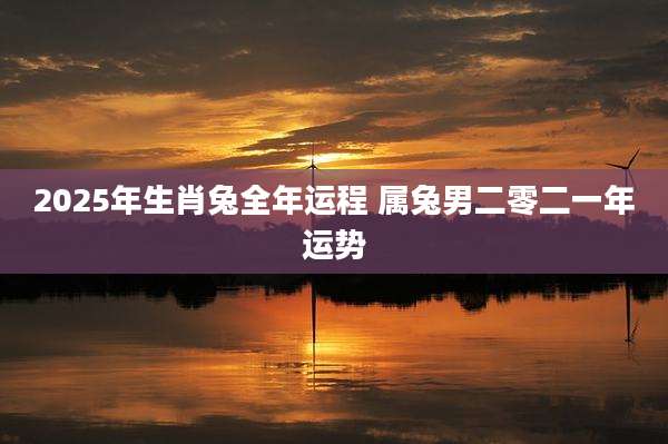 2025年生肖兔全年运程 属兔男二零二一年运势