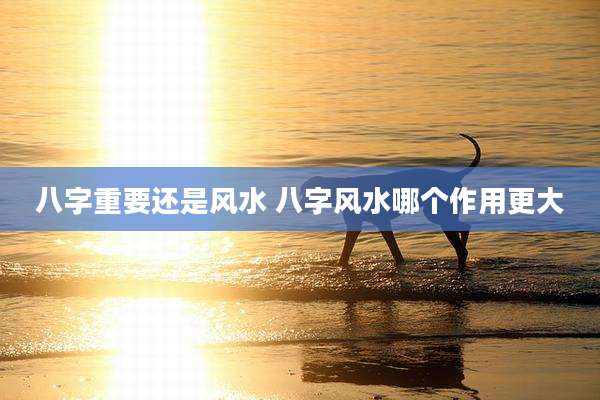 八字重要还是风水 八字风水哪个作用更大