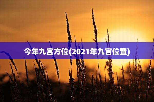 今年九宫方位(2021年九宫位置)