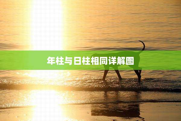 年柱与日柱相同详解图