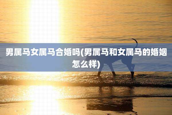 男属马女属马合婚吗(男属马和女属马的婚姻怎么样)