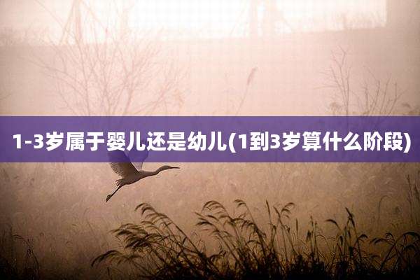 1-3岁属于婴儿还是幼儿(1到3岁算什么阶段)