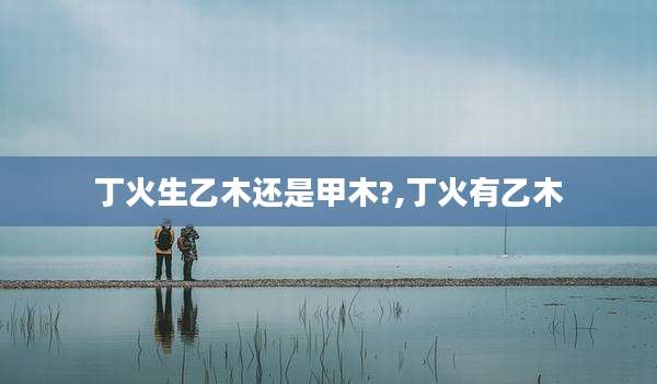 丁火生乙木还是甲木?,丁火有乙木