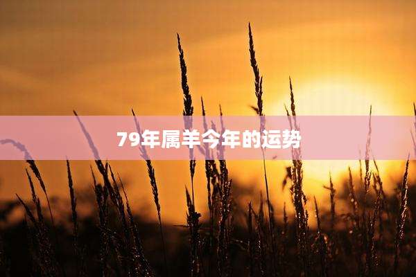 79年属羊今年的运势