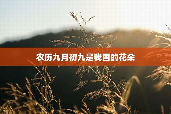 农历九月初九是我国的花朵