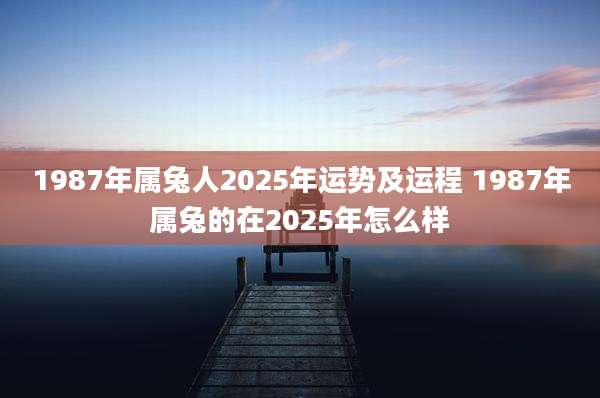1987年属兔人2025年运势及运程 1987年属兔的在2025年怎么样