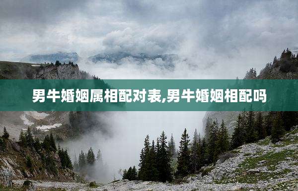 男牛婚姻属相配对表,男牛婚姻相配吗