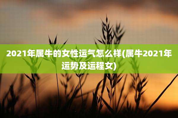 2021年属牛的女性运气怎么样(属牛2021年运势及运程女)
