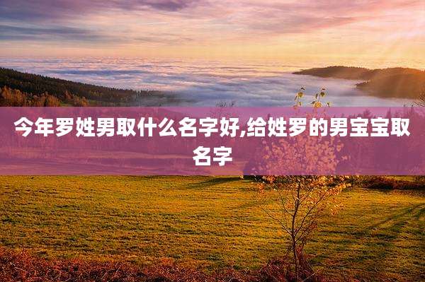 今年罗姓男取什么名字好,给姓罗的男宝宝取名字