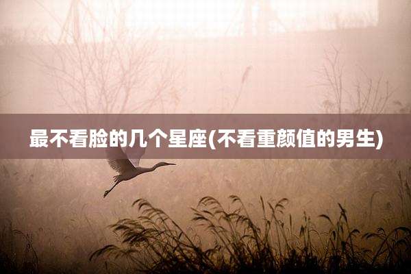 最不看脸的几个星座(不看重颜值的男生)