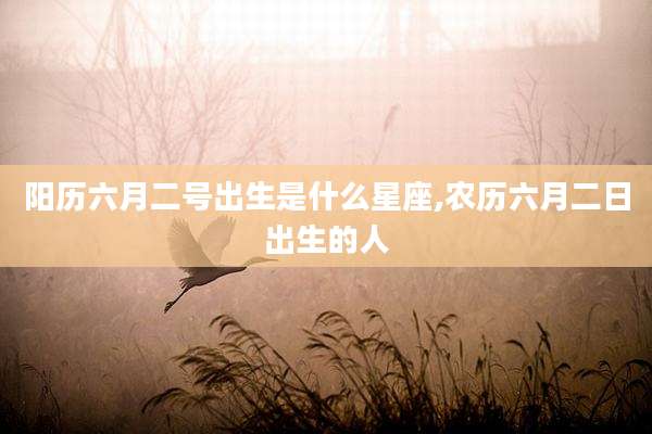 阳历六月二号出生是什么星座,农历六月二日出生的人