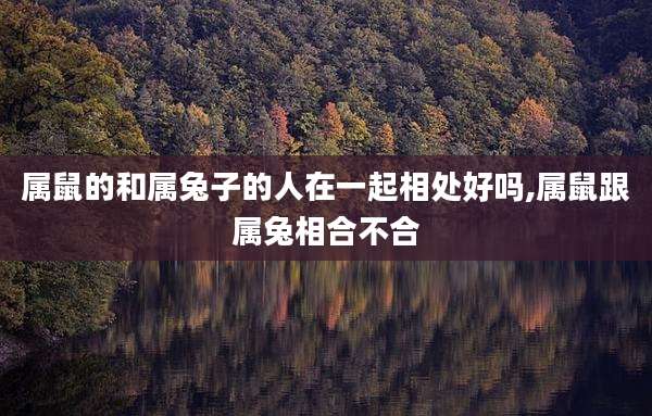 属鼠的和属兔子的人在一起相处好吗,属鼠跟属兔相合不合