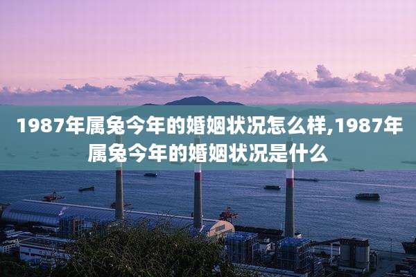 1987年属兔今年的婚姻状况怎么样,1987年属兔今年的婚姻状况是什么