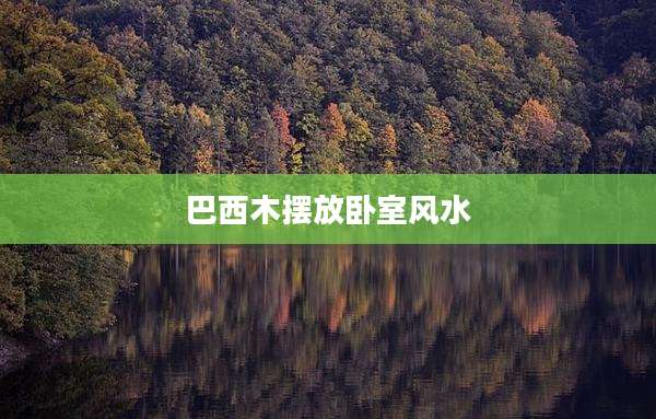 巴西木摆放卧室风水