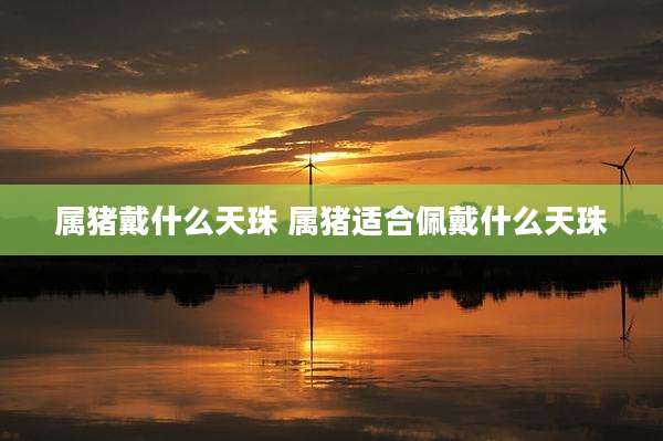 属猪戴什么天珠 属猪适合佩戴什么天珠