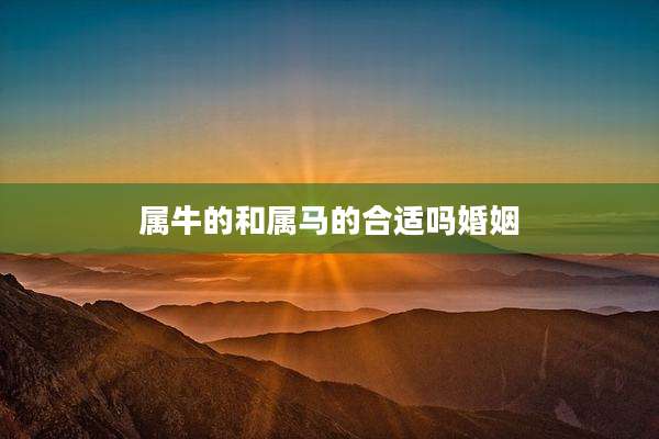 属牛的和属马的合适吗婚姻