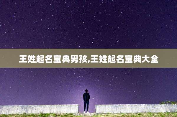 王姓起名宝典男孩,王姓起名宝典大全