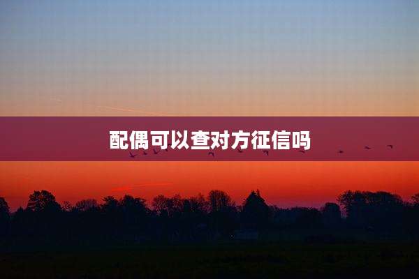配偶可以查对方征信吗