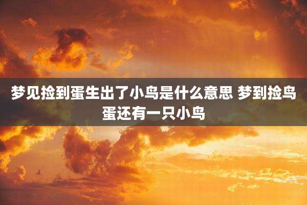 梦见捡到蛋生出了小鸟是什么意思 梦到捡鸟蛋还有一只小鸟
